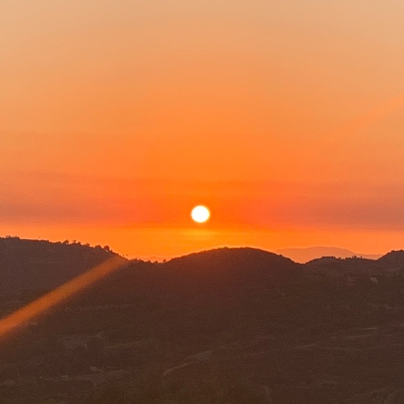 Meet your Posher, Emily - Picture 1 of 1